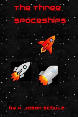 Cover of the book The Three Space Ships by H Jason Schulz