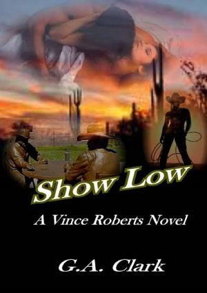 Book cover of Show Low: A Vince Roberts novel