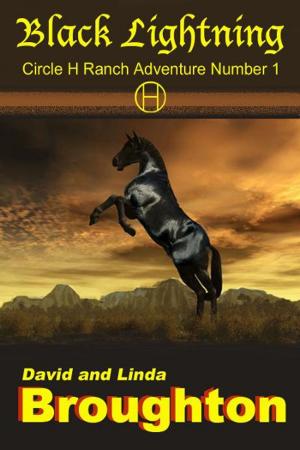 Cover of the book Black Lightning by David and Linda Broughton