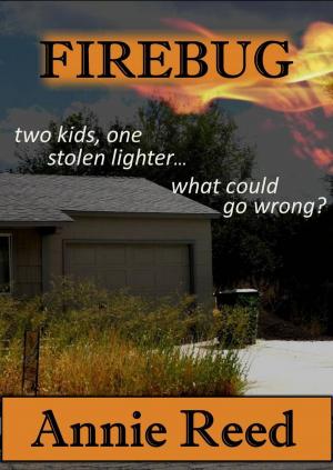 bigCover of the book Firebug by 
