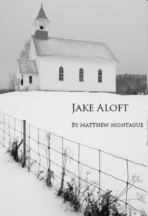 bigCover of the book Jake Aloft by 