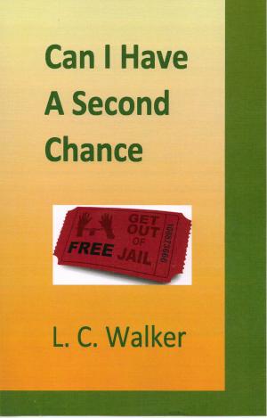 Book cover of Can I Have A Second Chance