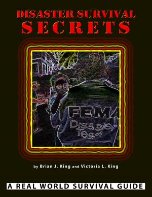 Book cover of Disaster Survival Secrets
