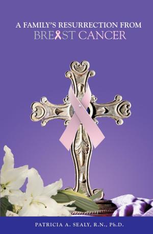 Cover of the book A Family's Resurrection from Breast Cancer by David C. Hamata