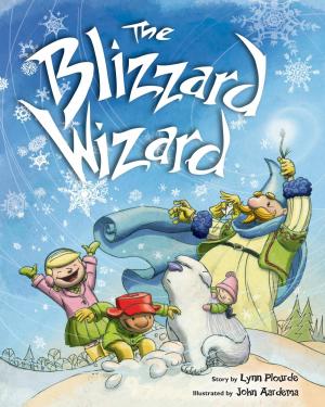 Book cover of The Blizzard Wizard