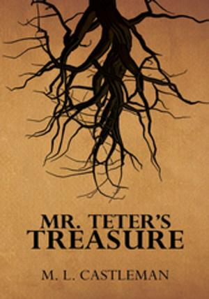 Cover of the book Mr. Teter’S Treasure by Bernard J. Streicher, S.J.