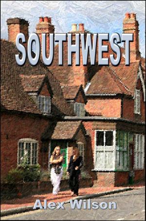Cover of the book Southwest by Alex Wilson