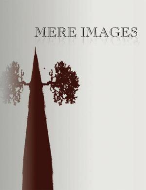 bigCover of the book Mere Images by 