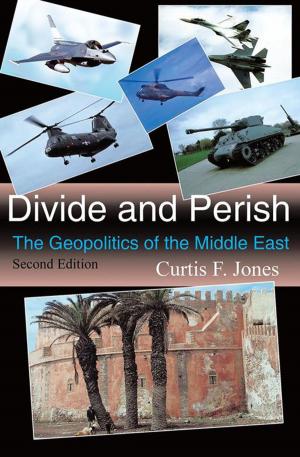 Cover of the book Divide and Perish by Jermaine L. Jenkins