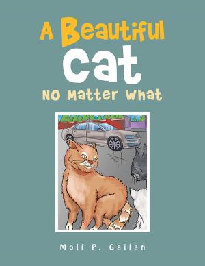 Book cover of A Beautiful Cat No Matter What
