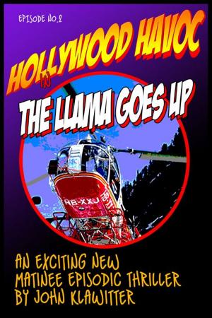 Cover of the book Hollywood Havoc by James Dwyer