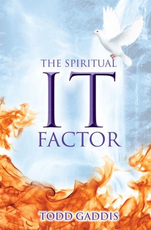 Cover of the book The Spiritual "It" Factor by Todd Gaddis