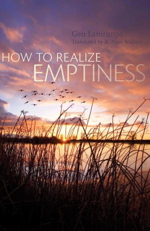 Cover of the book How to Realize Emptiness by Andrew Harvey
