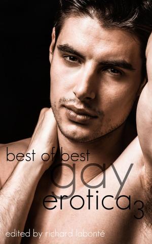Cover of the book Best of Best Gay Erotica 3 by J Itchen