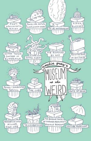 Cover of the book Museum of the Weird by Diane Williams