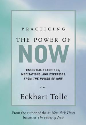 Cover of the book Practicing the Power of Now by Shakti Gawain