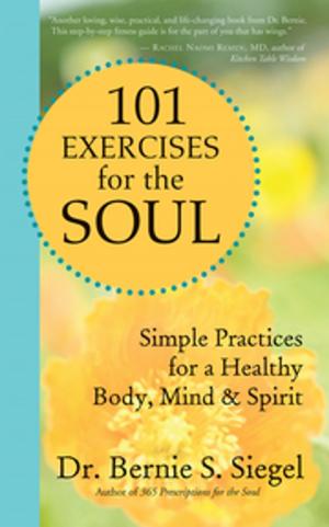 Book cover of 101 Exercises for the Soul