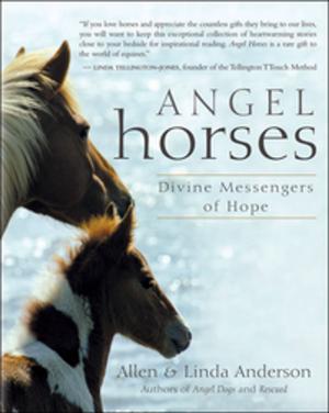 Book cover of Angel Horses