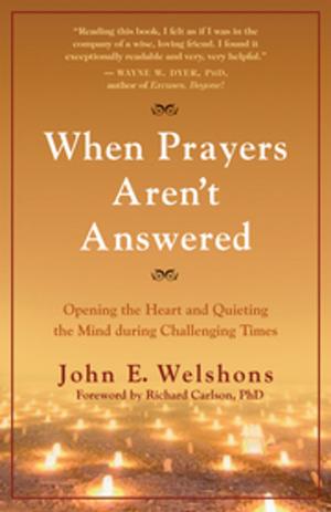 Cover of the book When Prayers Aren't Answered by Robert Moss