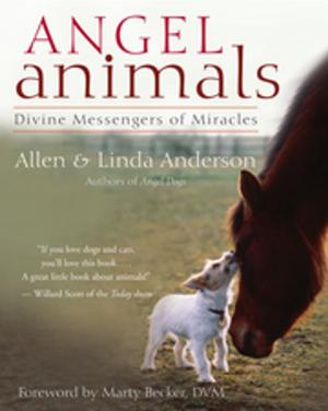 Cover of the book Angel Animals by Dawna Markova, PhD