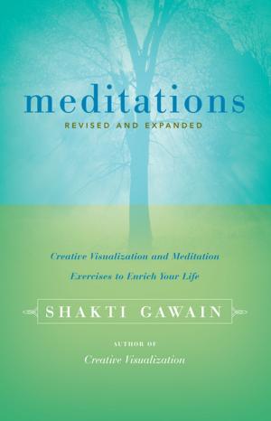 Cover of the book Meditations by Brad Warner