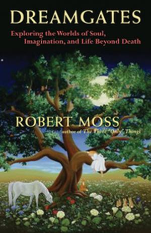 Cover of the book Dreamgates by Dr. Bernie S. Siegel
