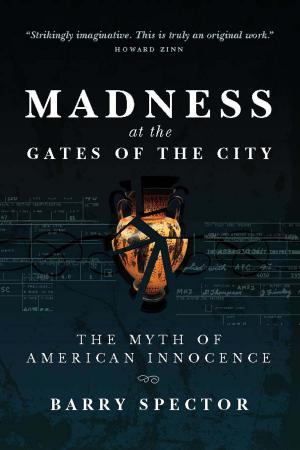 Cover of the book MADNESS AT THE GATES OF THE CITY: The Myth of American Innocence by Father Tom Schultz, O.H.C.