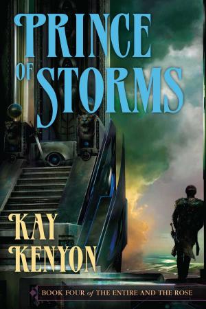 Cover of the book Prince of Storms by K. Johansen