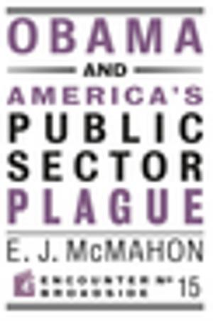 Cover of the book Obama and America's Public Sector Plague by Jared Meyer
