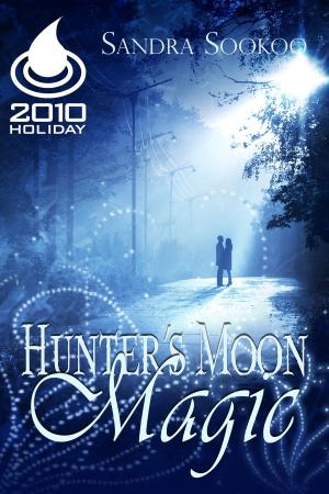 Cover of the book Hunter's Moon Magic by Annette Mardis