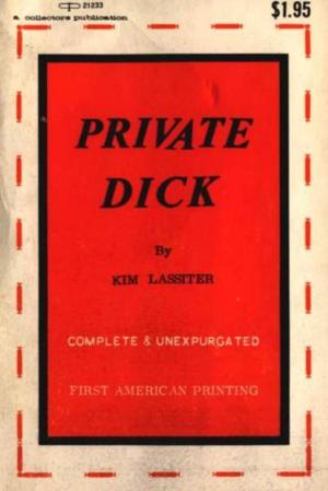 Cover of the book Private Dick by Barbara Boinck