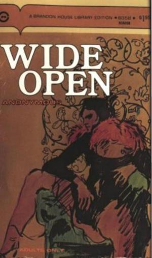 Cover of the book Wide Open by Aymes, Adam