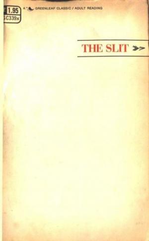 Book cover of The Slit