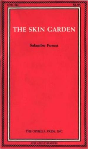 Book cover of The Skin Garden