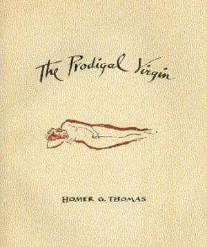 Cover of the book The Prodigal Virgin by Willowes, Claire