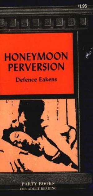 Cover of the book Honeymoon Perversion by Eric Jay