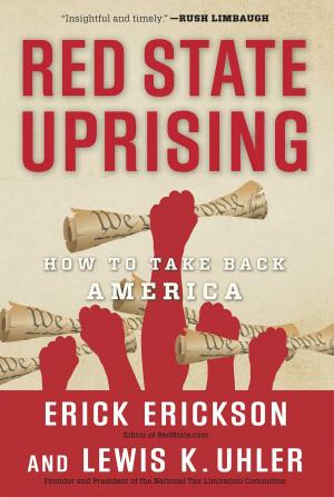 Cover of the book Red State Uprising by Robert P. Murphy