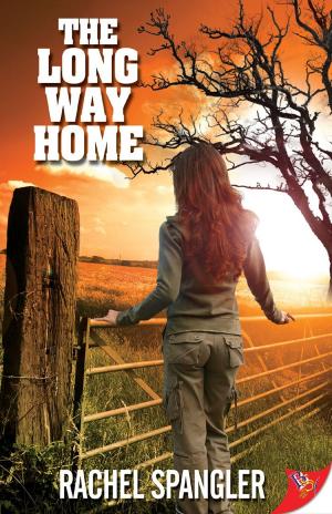 Cover of the book The Long Way Home by VK Powell