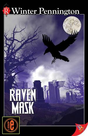 Cover of the book Raven Mask by Justine Saracen