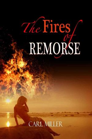 Cover of the book The Fires of Remorse by C R Richards