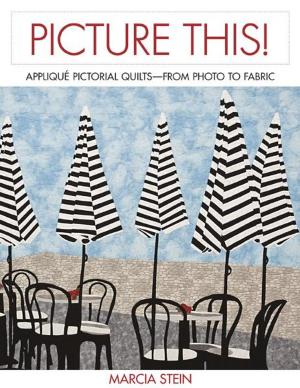 Cover of the book Picture This! by Christine E. Barnes