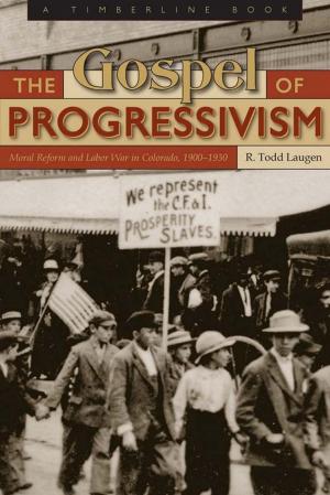 Cover of the book The Gospel of Progressivism by Rob Schlegel