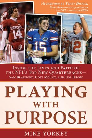 Cover of the book Playing with Purpose by Jim Rappaport