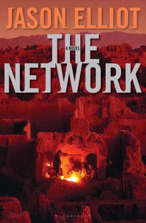 Cover of the book The Network by Alan MacDonald