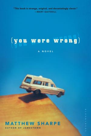 Cover of the book You Were Wrong by T. Coraghessan Boyle