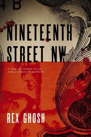 bigCover of the book Nineteenth Street Nw by 