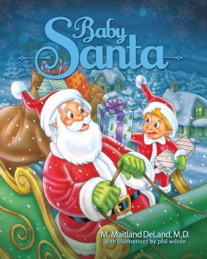 Cover of the book Baby Santa by Colleen Olitsky Jason Olitsky