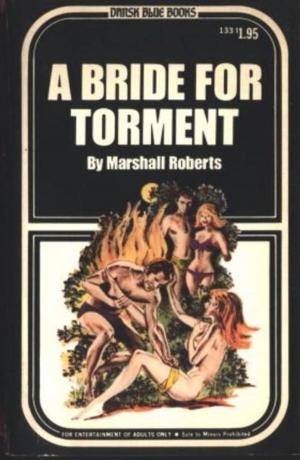 Cover of the book A Bride For Torment by H K Hillman