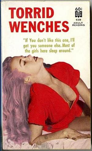 Cover of the book Torrid Wenches by Kitty Fine
