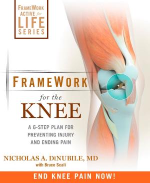 Cover of the book FrameWork for the Knee by Kim Kristiansen